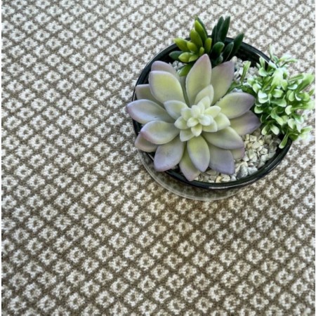 4212/Adam-Carpets/Deco-Pattern-Carpet